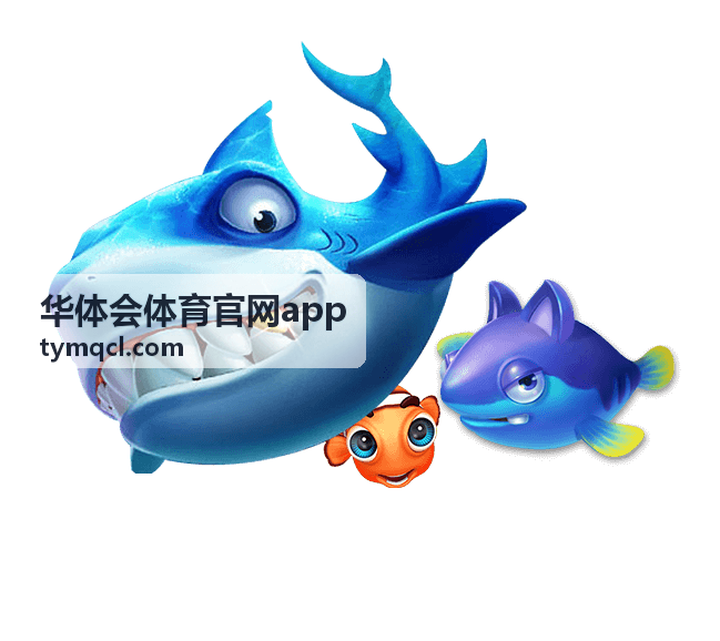 华体会体育官网app 球队数据与战报 · 半场节奏对照示意图