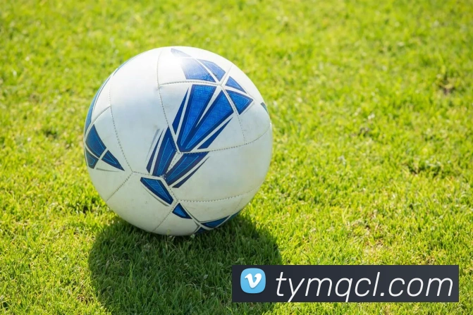 世界杯体育app官网品牌故事