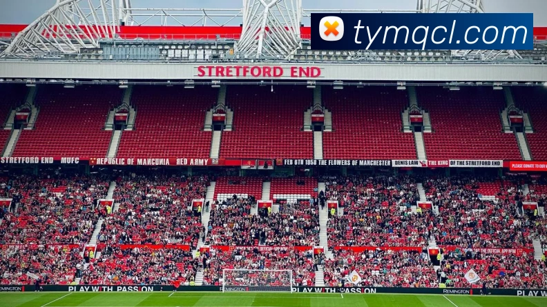 世界杯体育app官网服务体系